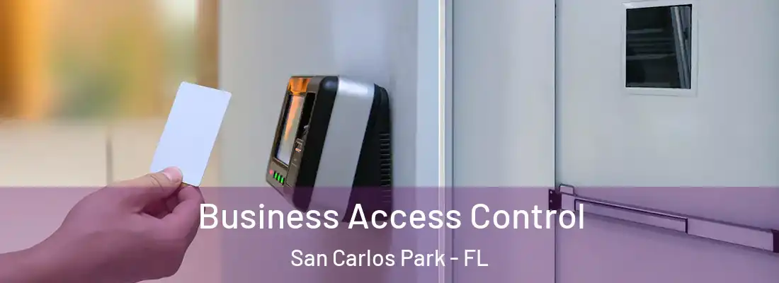 Business Access Control San Carlos Park - FL