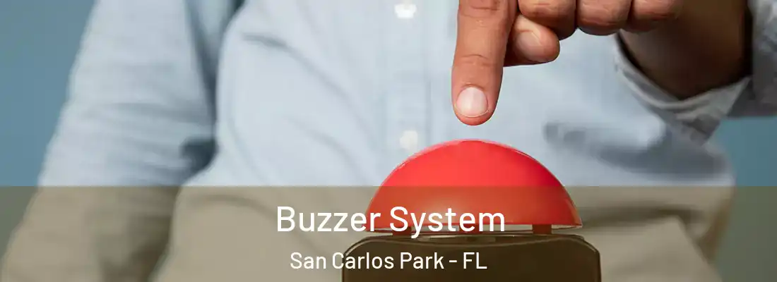 Buzzer System San Carlos Park - FL