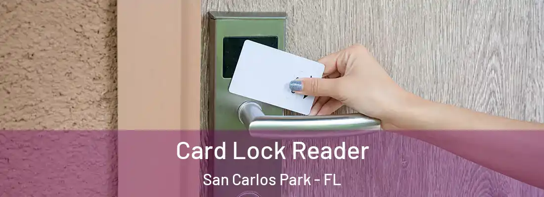 Card Lock Reader San Carlos Park - FL