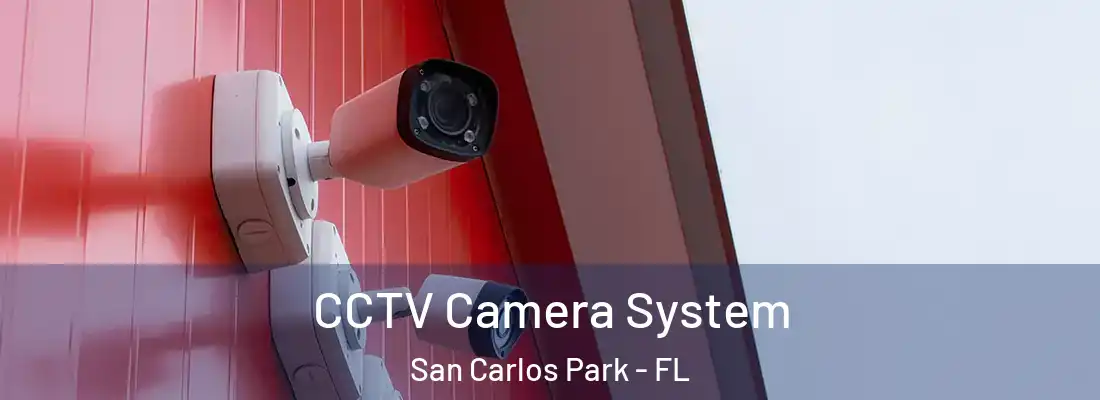 CCTV Camera System San Carlos Park - FL
