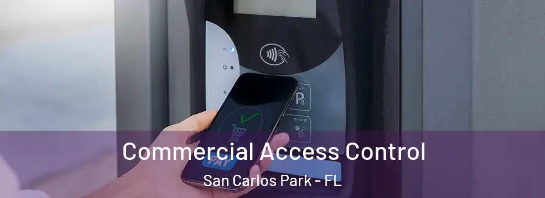 Commercial Access Control San Carlos Park - FL