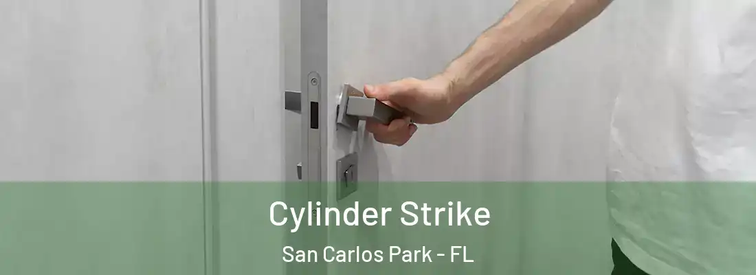 Cylinder Strike San Carlos Park - FL