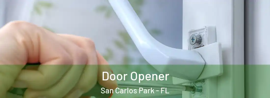 Door Opener San Carlos Park - FL