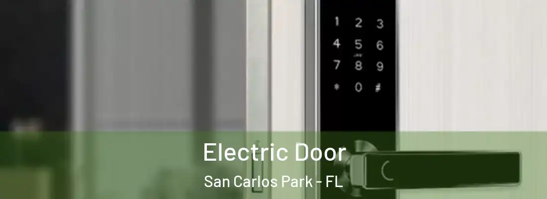 Electric Door San Carlos Park - FL