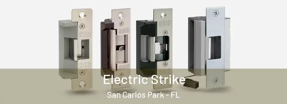 Electric Strike San Carlos Park - FL