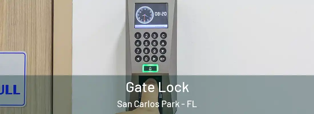 Gate Lock San Carlos Park - FL