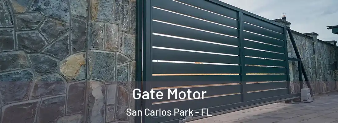 Gate Motor San Carlos Park - FL