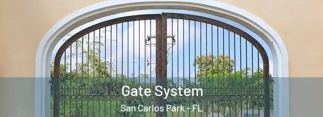 Gate System San Carlos Park - FL