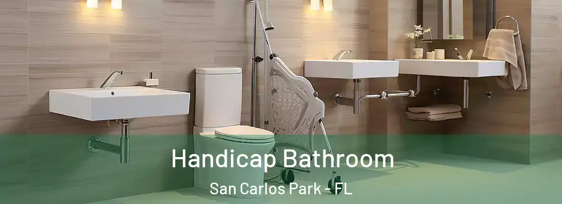 Handicap Bathroom San Carlos Park - FL