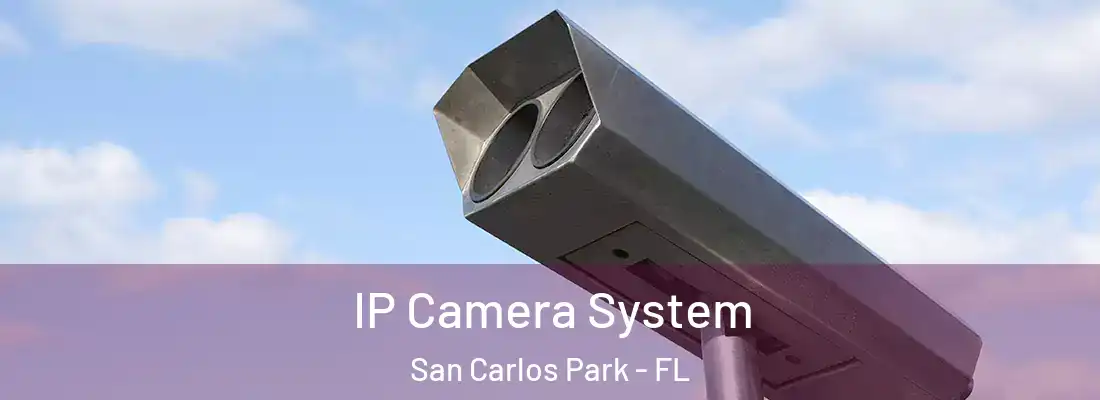 IP Camera System San Carlos Park - FL