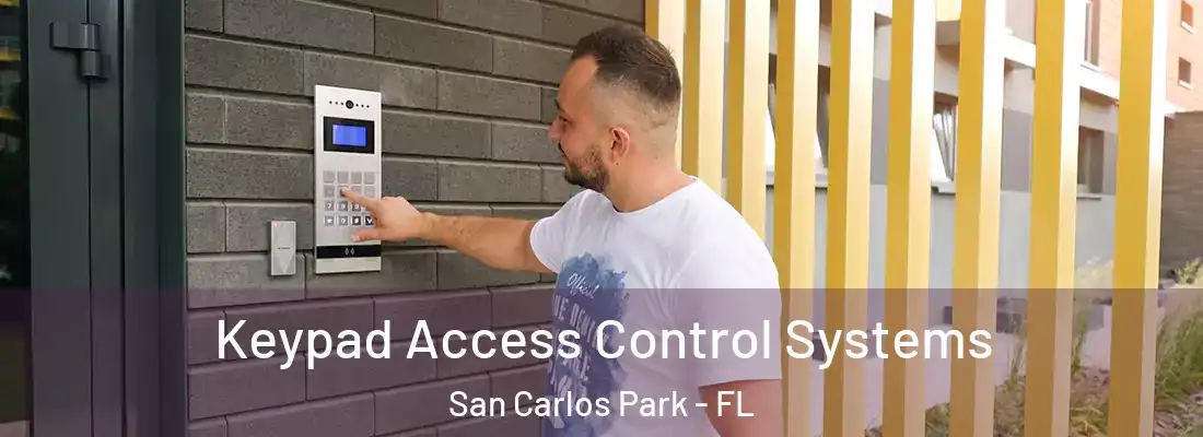 Keypad Access Control Systems San Carlos Park - FL