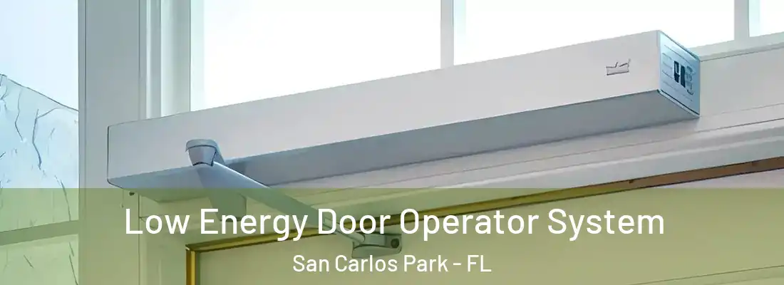 Low Energy Door Operator System San Carlos Park - FL