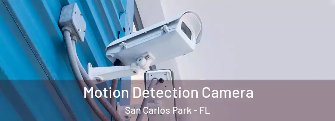 Motion Detection Camera San Carlos Park - FL