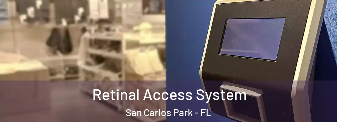 Retinal Access System San Carlos Park - FL
