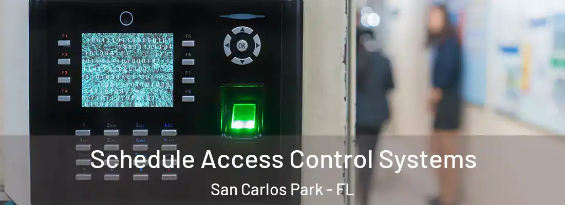 Schedule Access Control Systems San Carlos Park - FL