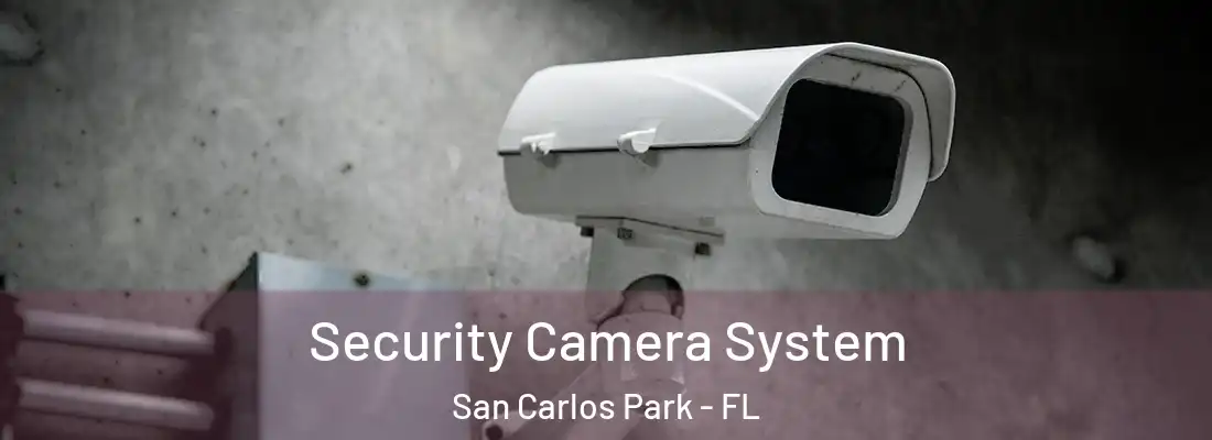 Security Camera System San Carlos Park - FL