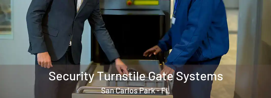 Security Turnstile Gate Systems San Carlos Park - FL