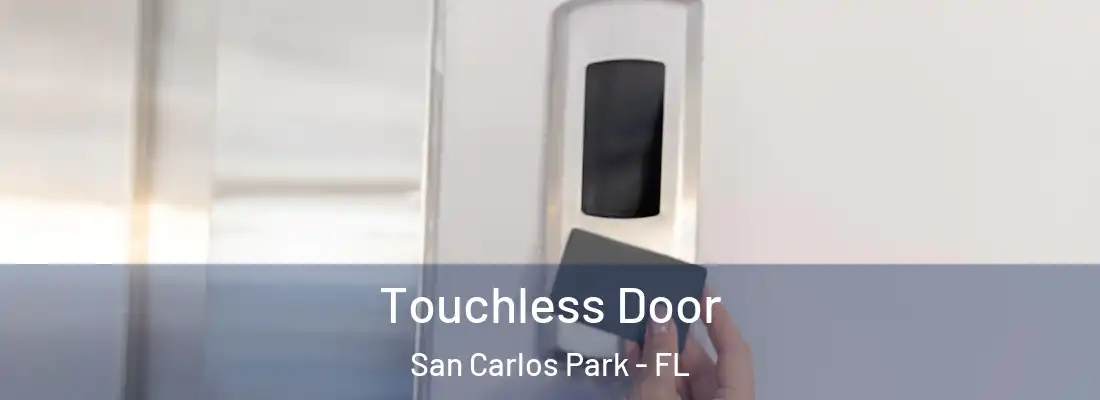 Touchless Door San Carlos Park - FL