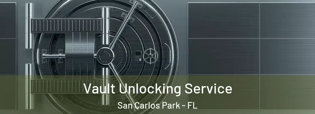 Vault Unlocking Service San Carlos Park - FL