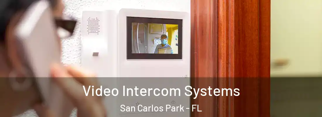 Video Intercom Systems San Carlos Park - FL